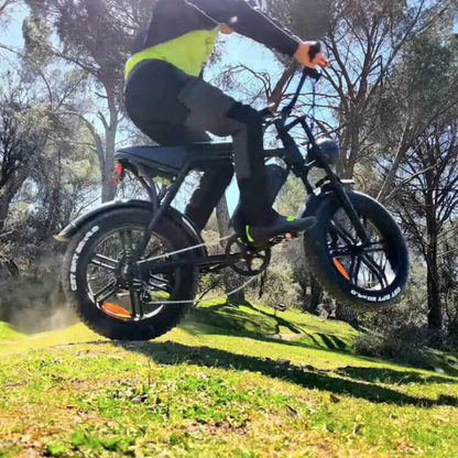 V8 Electric Bike 750W